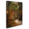 Trademark Fine Art Jai Johnson 'Autumn Forest 2' Canvas Art, 18x24 ALI14122-C1824GG